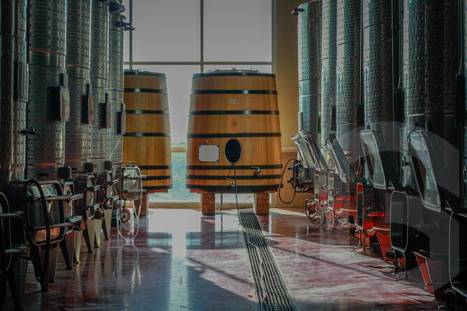 Private Vineyard and Wine Testing Tour From Guanajuato - Tres Raices: a longer second vineyard visit
