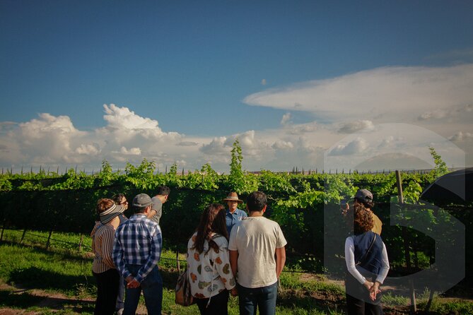 Private Vineyard and Wine Testing Tour From Guanajuato - Atotonilco: a powerful final stop