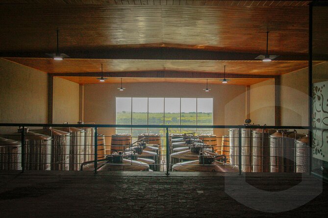 Private Vineyard and Wine Testing Tour From Guanajuato - The real cost: base fare plus two tastings