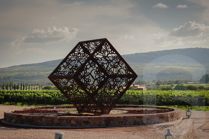 Private Vineyard and Wine Testing Tour From Guanajuato - Why the private format helps