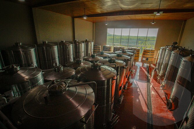 Private Vineyard and Wine Testing Tour From Guanajuato - Who should book this experience?