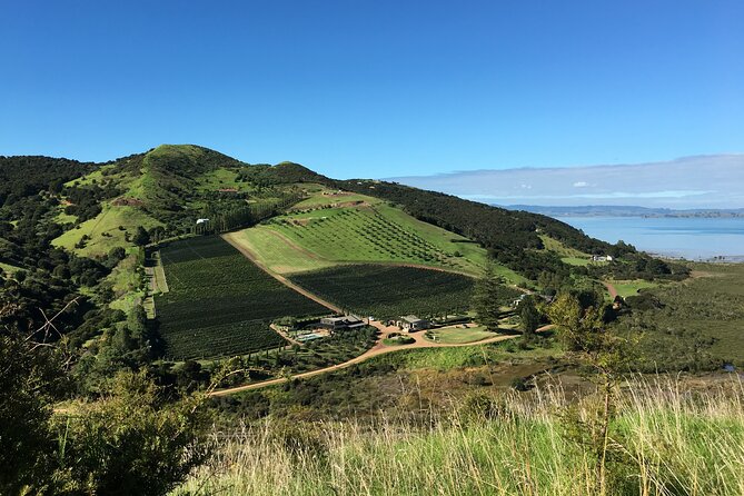Private Vineyard Bush Walk Tour in Waiheke Island - Key points to know before booking