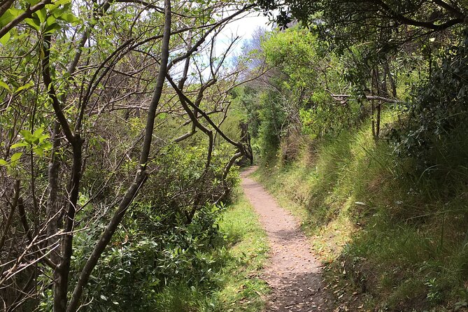 Private Vineyard Bush Walk Tour in Waiheke Island - Starting at Matiatia at 9:45 am