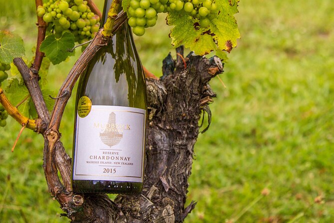 Private Vineyard Bush Walk Tour in Waiheke Island - Bush tracks, valleys, and vineyard country