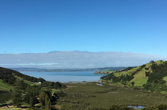 Private Vineyard Bush Walk Tour in Waiheke Island - Wine tasting at Mudbrick, Jurassic Ridge, or Cable Bay