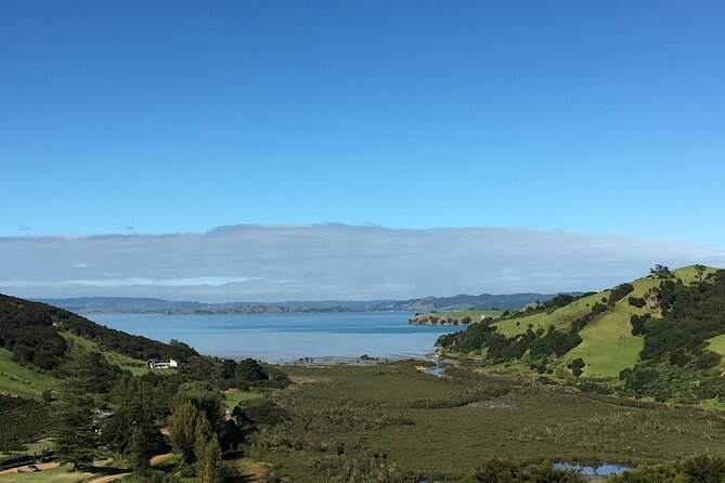 Private Vineyard Bush Walk Tour in Waiheke Island - Guides make the private format worthwhile