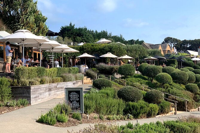 Private Vineyard Bush Walk Tour in Waiheke Island - Through restored and regenerating bush