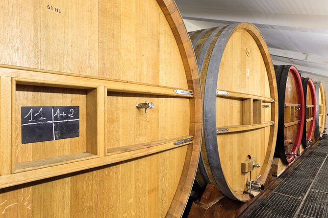Private Vineyard Tour and Wine Tasting in Bandol - Who should book this experience?