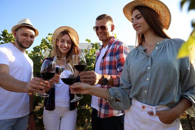 Private Vineyard Tour with Dinner Under the Stars in Karnas - Between courses, the cellar tells the story