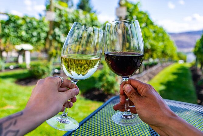 Private Vineyard Tour with Dinner Under the Stars in Karnas - Private service changes the feel of the evening