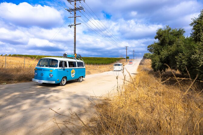 Private VW Bus Wine Tour Temecula - Retro Cali Vibes - Snacks, water, and the practical details