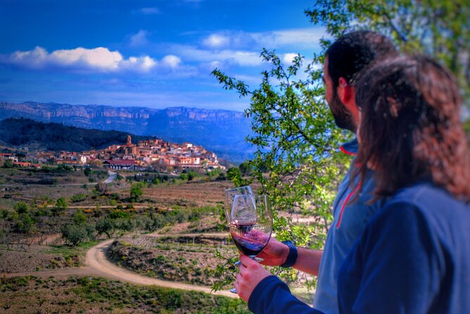 Private Wine and Oil Tour in the Priorat Wine Region - Key points to know before booking