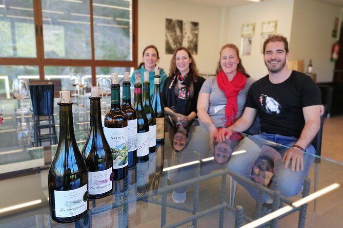 Private Wine and Oil Tour in the Priorat Wine Region - Why Priorat makes a strong wine day