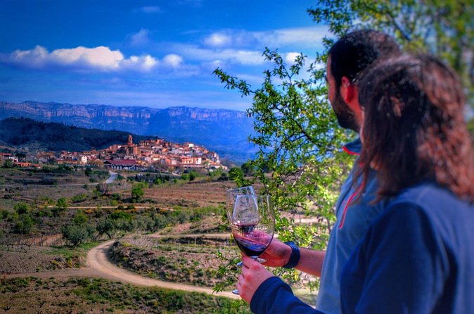 Private Wine and Oil Tour in the Priorat Wine Region - The second wine area: qualified DOQ Priorat