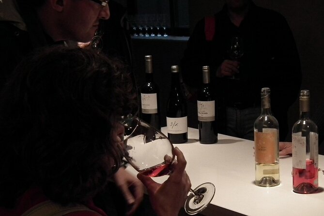Private Wine and Oil Tour in the Priorat Wine Region - Price, group size, and overall value