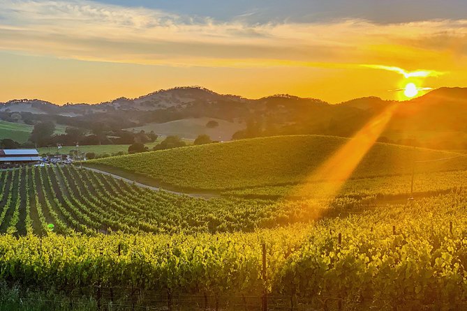 Private Wine Country Tour Including Photography Services - Key points at a glance