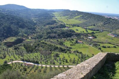 Private Wine Tasting in the Setúbal Wine Region, from Lisbon