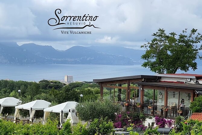 Private Wine Tour,lunch,8 wines, dedicated sommelier and trasport - Timing, pickup, and practical planning