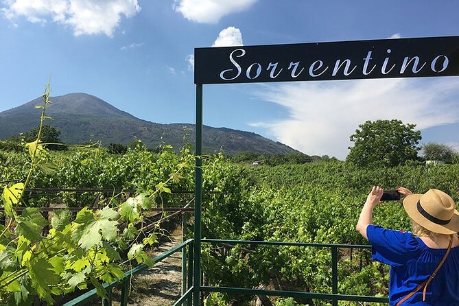 Private Wine Tour,lunch,8 wines, dedicated sommelier and trasport - Walking the Sorrentino family vineyard