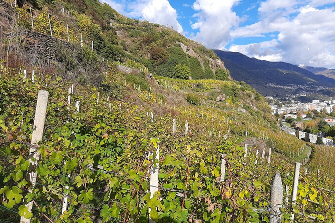 Private Wine Tour: Terraced Vineyards with Alpine view from Milan - Leaving Milan Central Station at 8:00 am