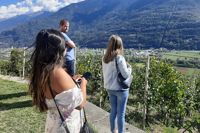 Private Wine Tour: Terraced Vineyards with Alpine view from Milan - Morbegno and the possible family cellar