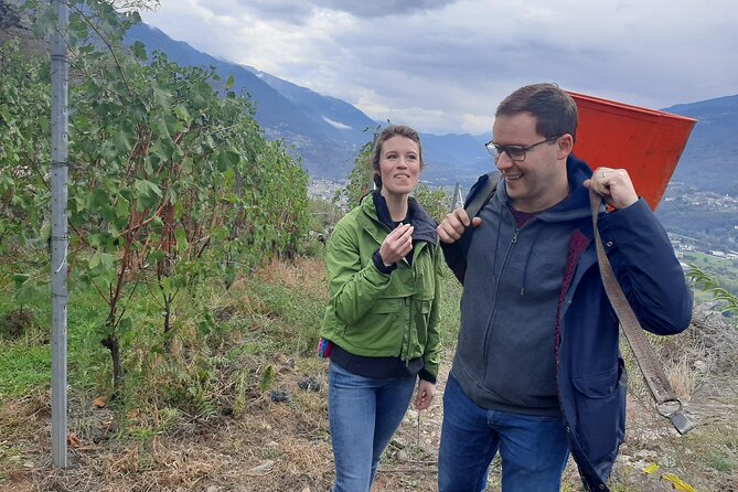 Private Wine Tour: Terraced Vineyards with Alpine view from Milan - Following Valtellina’s wine road by minivan