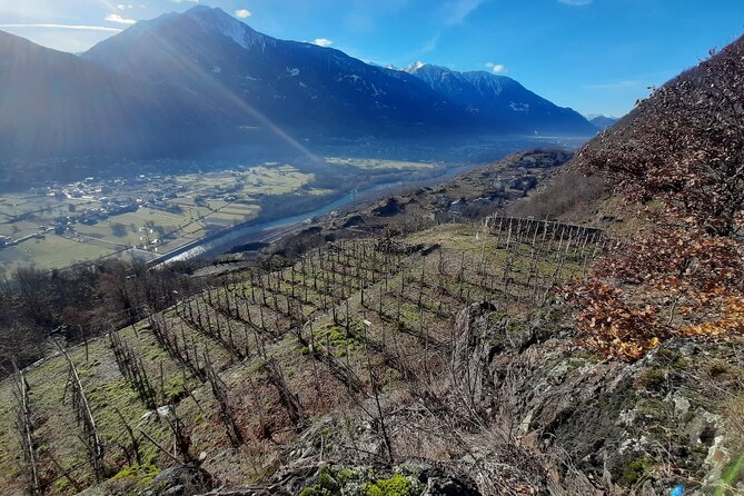 Private Wine Tour: Terraced Vineyards with Alpine view from Milan - The first winery: a closer look at local production