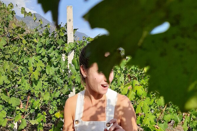Private Wine Tour: Terraced Vineyards with Alpine view from Milan - Lunch in the valley, with €40 to €50 to budget
