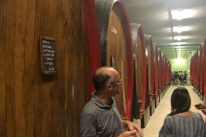 Private Wine Tour: Terraced Vineyards with Alpine view from Milan - Lake Como is the gateway, not the main event