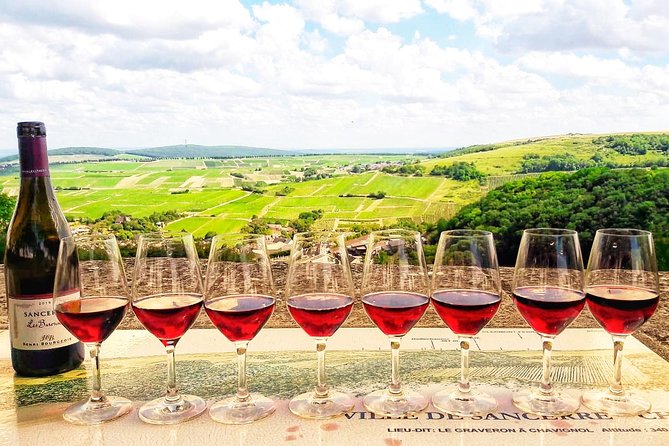 Private wine tour to Sancerre vineyards from Paris with Sommelier - Key points at a glance