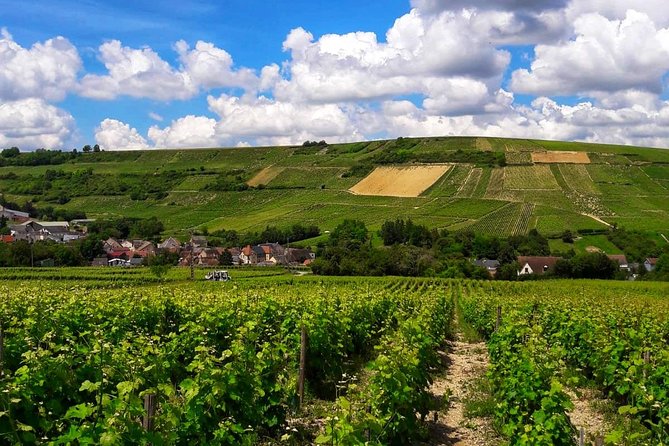 Private wine tour to Sancerre vineyards from Paris with Sommelier - Chavignol goat cheese and the best local pairing