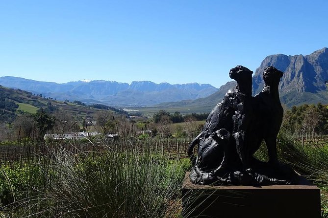 Private Wine Tour with Wine Expert to Stellenbosch-Franschhoek Wine Regions - Why a private wine day works well here