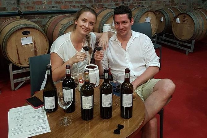 Private Wine Tour with Wine Expert to Stellenbosch-Franschhoek Wine Regions - Stark-Condé: a possible final estate