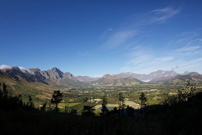 Private Wine Tour with Wine Expert to Stellenbosch-Franschhoek Wine Regions - Customizing reds, whites, views, and lunch