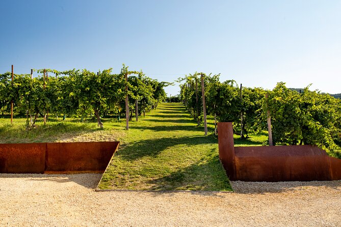 Prosecco tasting, appetizers and tour of the cellar and vineyards - Four glasses, one useful tasting lesson