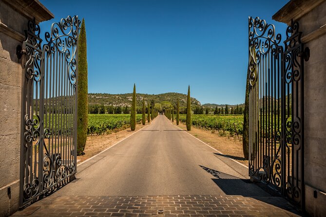 Provence Small Group Wine Full Day Tour in Chateauneuf du Pape vineyard from Aix - From Aix to the Châteauneuf-du-Pape vineyards