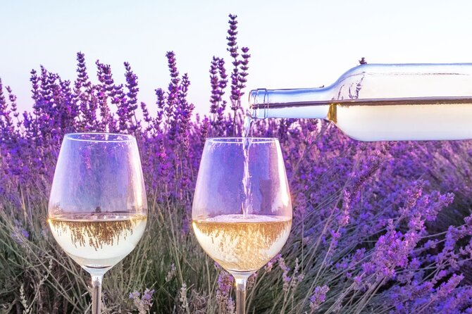 Provence Small Group Wine Full Day Tour in Chateauneuf du Pape vineyard from Aix - Lunch in the village, with your own budget