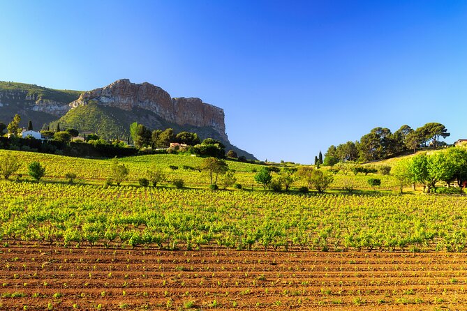 Provence Small Group Wine Full Day Tour in Chateauneuf du Pape vineyard from Aix - Timing, comfort, and practical details