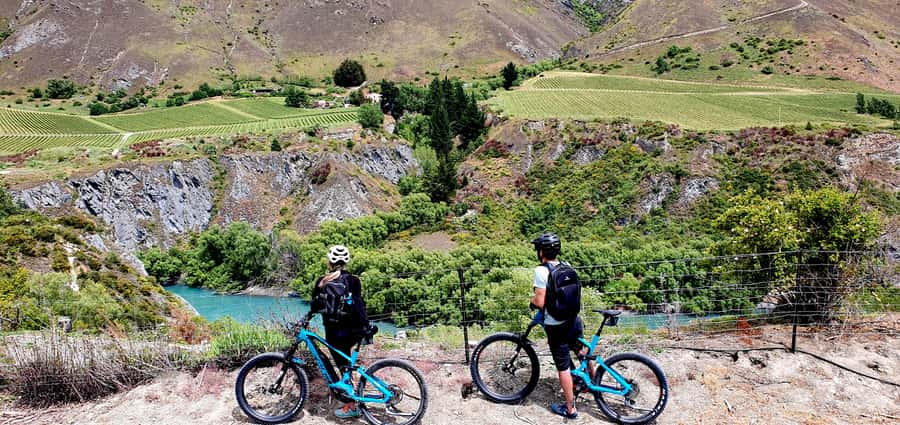 Queenstown: Guided E-Bike Tour with Winery Visits & Tastings - Key points to know before booking