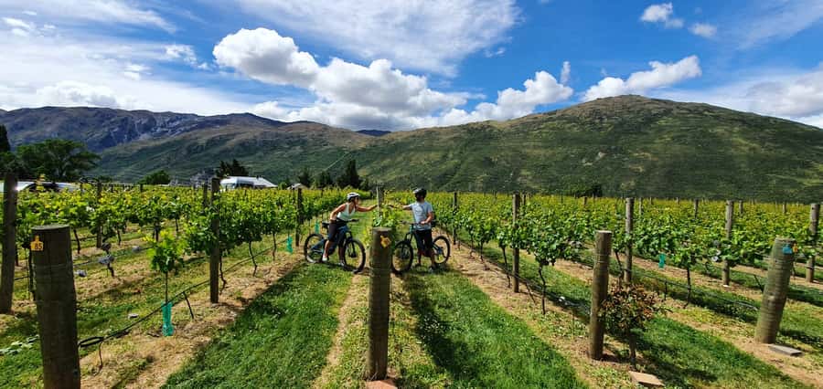Queenstown: Guided E-Bike Tour with Winery Visits & Tastings - Following the Arrow and Kawarau rivers