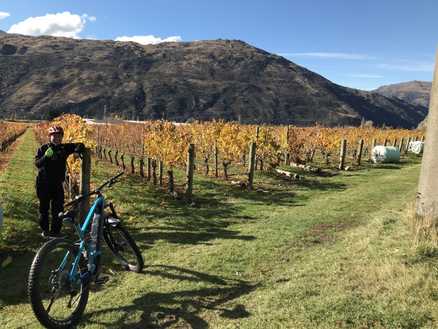 Queenstown: Guided E-Bike Tour with Winery Visits & Tastings - Mt Rosa Wines, an artisan platter, and the final hour
