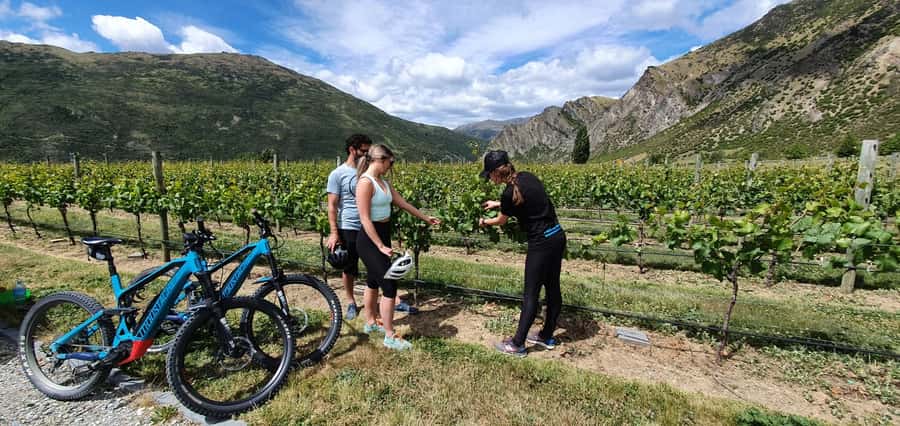Queenstown: Guided E-Bike Tour with Winery Visits & Tastings - From Frankton to Arrowtown’s gold-mining streets