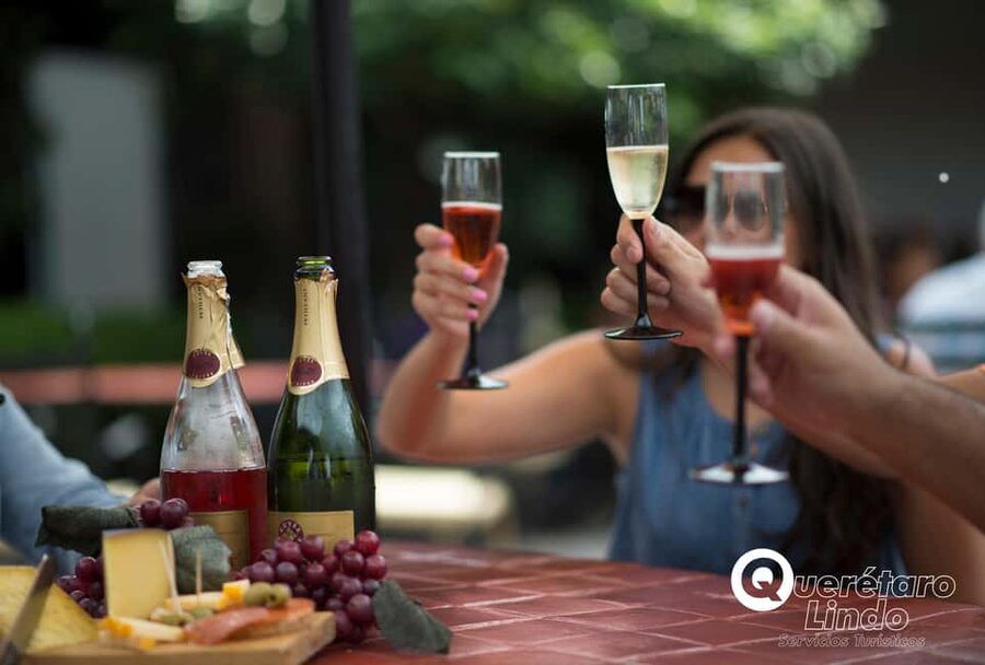 Querétaro: Art, Cheese and Wine Route - Tequisquiapan gives you 90 minutes to choose your own path