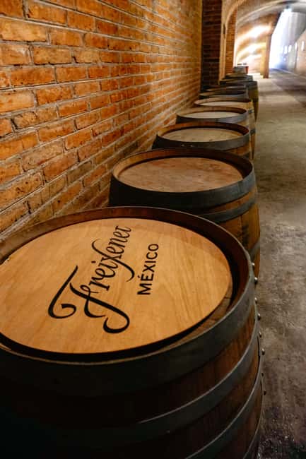 Querétaro: Art, Cheese and Wine Route - Peña de Bernal and the final two hours
