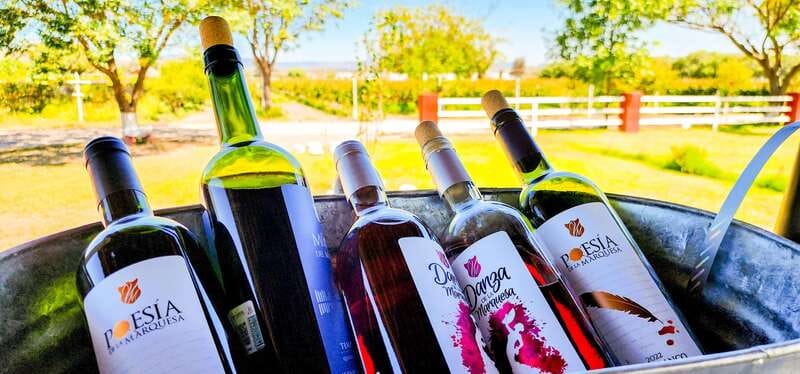 Querétaro: Haciendas, Vineyards, and Magical Towns Day Trip - Tequisquiapan: crafts, the square, and La Pila