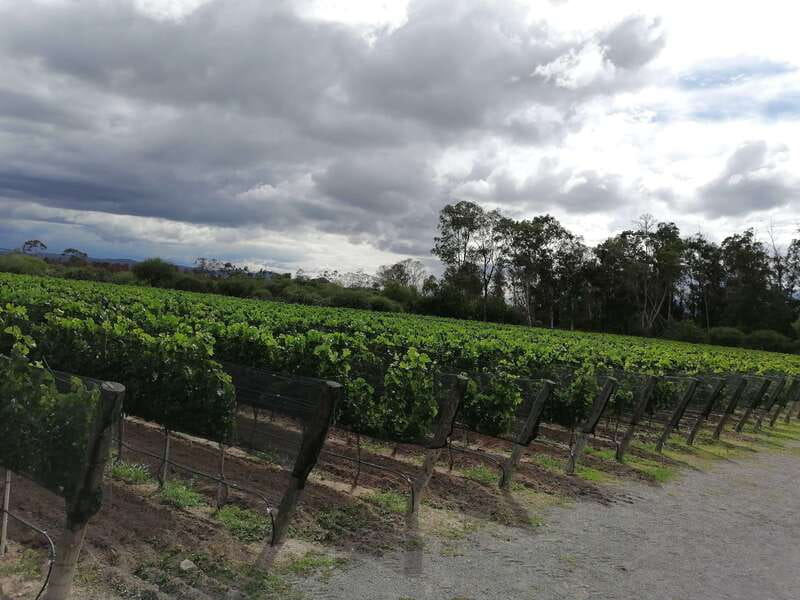 Querétaro: Haciendas, Vineyards, and Magical Towns Day Trip - Why the schedule feels full