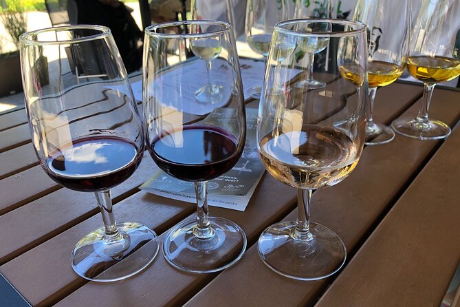 Relaxing Afternoon Wine Tour through Niagara's Wine Country - Three wineries, three different moods