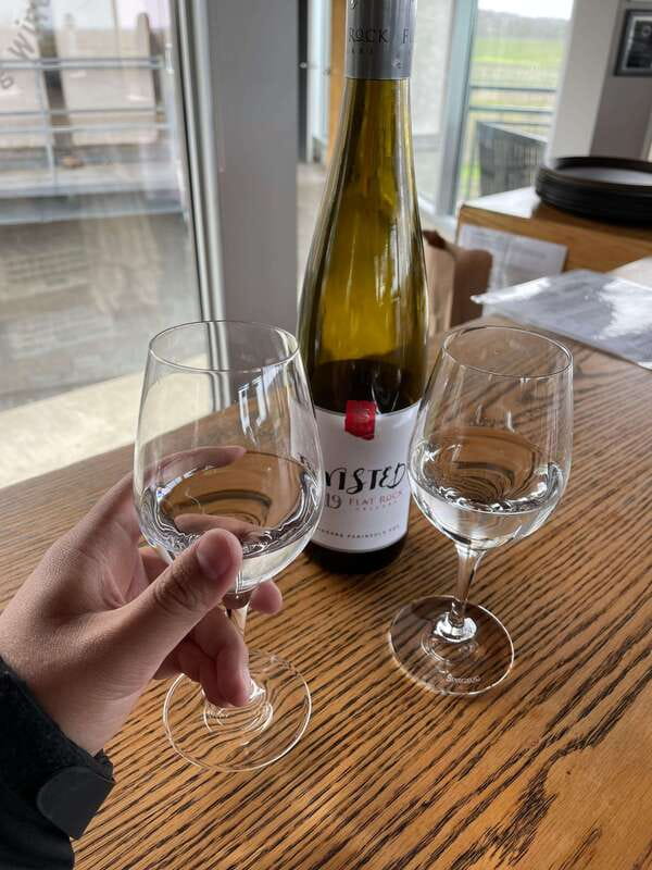 Relaxing Lunch & Wine Tour through Niagara's Wine Country - Why this Niagara wine tour works well