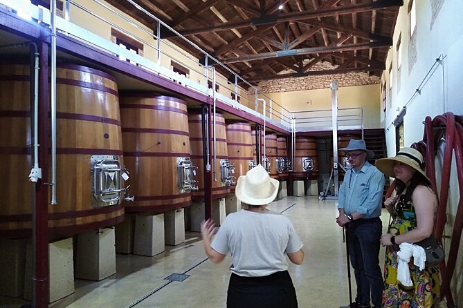 Requena Somm. Private Vineyards/ Premium Wine tasting 1/2 Day - Requena, medieval streets before the cellar doors
