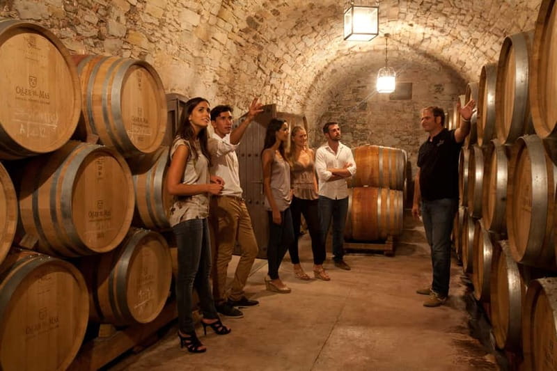 Rías Baixas Albariño Experience: Winery Visit & Cheese - Inside Terras Gauda, tradition meets modern production
